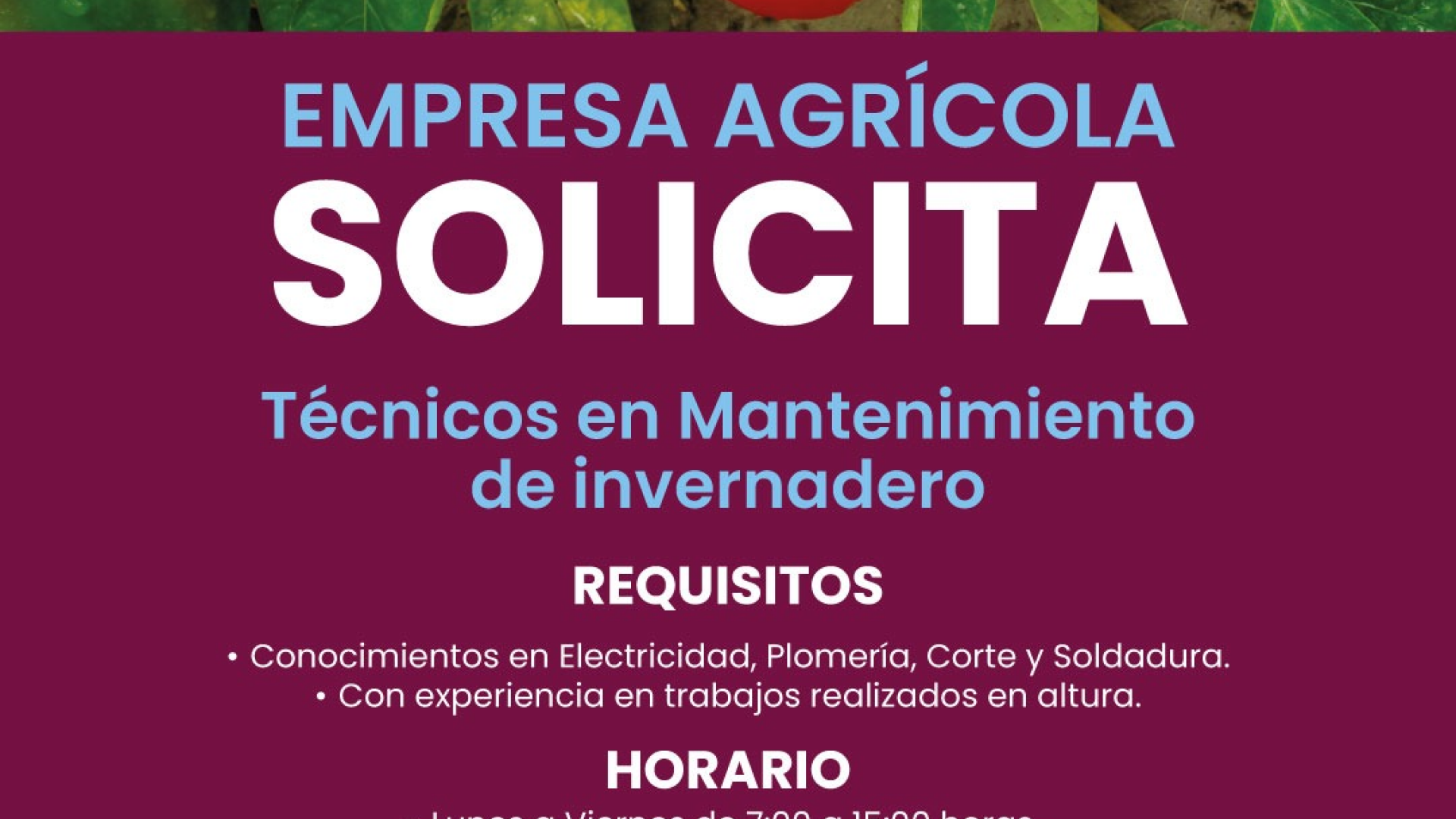 Vacantes seguridad